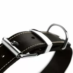 HUNTER Halsband, Gr. L-XL, Schwarz -Günstiges Tierbedarf Geschäft unnamed file 8362