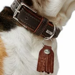 HUNTER Halsband, Gr. S, Dunkelbraun/cognacfarben -Günstiges Tierbedarf Geschäft unnamed file 8377