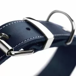 HUNTER Halsband »Aalborg«, Gr. L, Dunkelblau -Günstiges Tierbedarf Geschäft unnamed file 8383