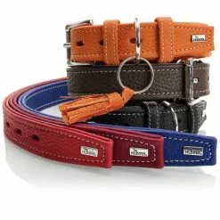 HUNTER Halsband, Gr. S, Orange -Günstiges Tierbedarf Geschäft unnamed file 8453