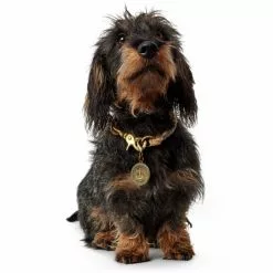 HUNTER Halsung, Gr. M, Beige -Günstiges Tierbedarf Geschäft unnamed file 8460