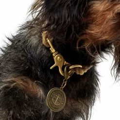 HUNTER Halsung, Gr. M, Beige -Günstiges Tierbedarf Geschäft unnamed file 8464