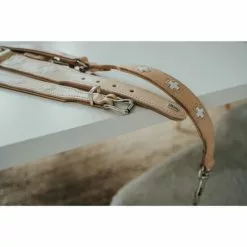 HUNTER Halsband »Swiss«, Gr. S-M, Natur/beige -Günstiges Tierbedarf Geschäft unnamed file 8503