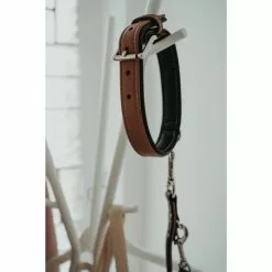 HUNTER Halsband, Gr. XS-S, Schwarz/cognacfarben -Günstiges Tierbedarf Geschäft unnamed file 8512