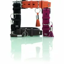HUNTER Halsband, Gr. S-M, Orange -Günstiges Tierbedarf Geschäft unnamed file 8525