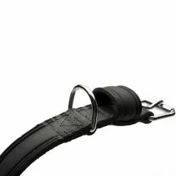 HUNTER Halsband »Aalborg«, Gr. L, Schwarz -Günstiges Tierbedarf Geschäft unnamed file 8547