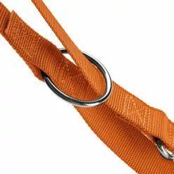 HUNTER Führleine »London«, Gr. 200 Cm, Orange -Günstiges Tierbedarf Geschäft unnamed file 8669