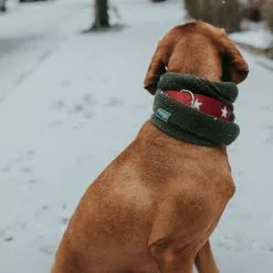 HUNTER Halsband »Macic Star«, Gr. S-M, Rot/schwarz -Günstiges Tierbedarf Geschäft unnamed file 8697