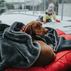 HUNTER Halsband »Macic Star«, Gr. S-M, Rot/schwarz -Günstiges Tierbedarf Geschäft unnamed file 8698