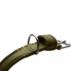 HUNTER Halsband »Aalborg«, Gr. S-M, Olivgrün -Günstiges Tierbedarf Geschäft unnamed file 8888