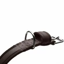 HUNTER Halsband »Aalborg«, Gr. M, Dunkelbraun -Günstiges Tierbedarf Geschäft unnamed file 8910