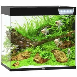 JUWEL AQUARIUM Lido 200 LED Aquarium