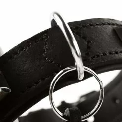 HUNTER Halsband, Gr. M, Schwarz -Günstiges Tierbedarf Geschäft unnamed file 8977