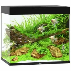 JUWEL AQUARIUM Lido 200 LED Aquarium -Günstiges Tierbedarf Geschäft unnamed file 903