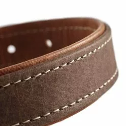 HUNTER Halsband, Gr. M-L, Tabakbraun/cognacfarben -Günstiges Tierbedarf Geschäft unnamed file 9036