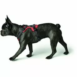 HUNTER Geschirr, L-XL, Nylon/polyester/neopren, Violett/grau -Günstiges Tierbedarf Geschäft unnamed file 9054