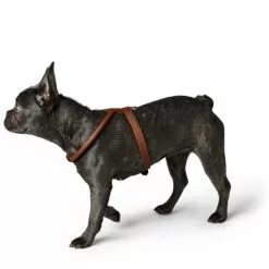 HUNTER Geschirr »Round & Soft«, XXS-XS, Elchleder, Cognacfarben -Günstiges Tierbedarf Geschäft unnamed file 9103