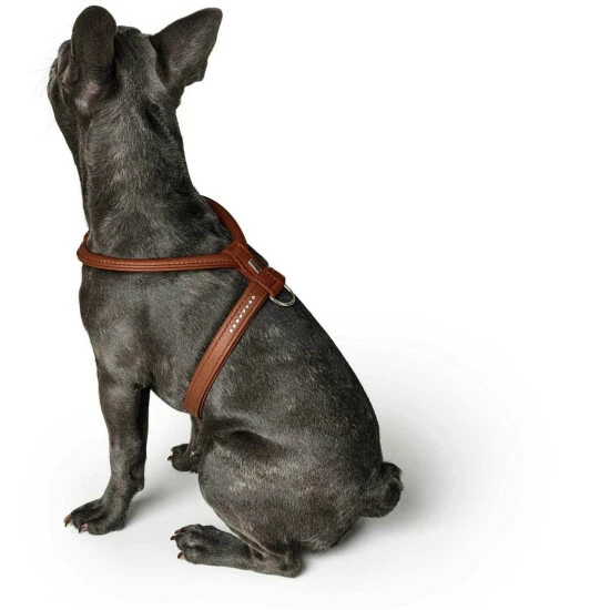 HUNTER Geschirr »Round & Soft«, S/2, Elchleder, Cognacfarben 5 HUNTER Geschirr »Round & Soft«, S/2, Elchleder, Cognacfarben – Bild 3