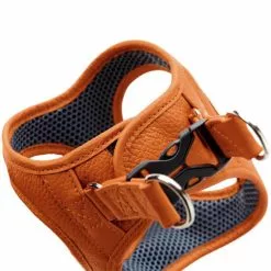 HUNTER Geschirr »Hilo«, XXS-XS, Polyester/mesh, Orange 9 HUNTER Geschirr »Hilo«, XXS-XS, Polyester/mesh, Orange -Günstiges Tierbedarf Geschäft unnamed file 9137