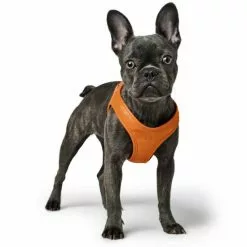 HUNTER Geschirr »Hilo«, XXS-XS, Polyester/mesh, Orange 10 HUNTER Geschirr »Hilo«, XXS-XS, Polyester/mesh, Orange -Günstiges Tierbedarf Geschäft unnamed file 9138