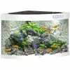 JUWEL AQUARIUM Trigon 190 LED Aquarium -Günstiges Tierbedarf Geschäft unnamed file 916