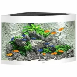 JUWEL AQUARIUM Trigon 190 LED Aquarium -Günstiges Tierbedarf Geschäft unnamed file 919
