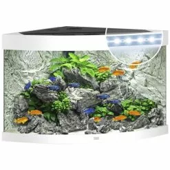 JUWEL AQUARIUM Trigon 190 LED Aquarium -Günstiges Tierbedarf Geschäft unnamed file 920