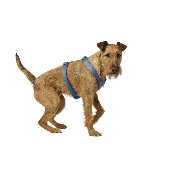 HUNTER Geschirr »London«, M, Polyester, Dunkelblau 5 HUNTER Geschirr »London«, M, Polyester, Dunkelblau – Bild 3