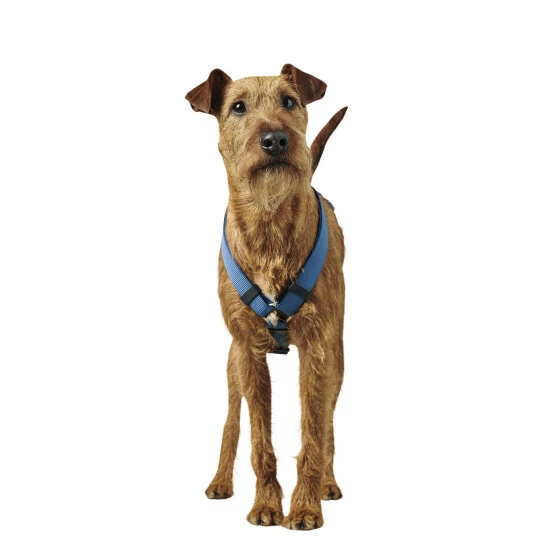 HUNTER Geschirr »London«, M, Polyester, Dunkelblau 7 HUNTER Geschirr »London«, M, Polyester, Dunkelblau – Bild 5