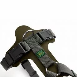 HUNTER Geschirr »Aalborg«, S, Rindsleder/nylon, Olivgruen/grau -Günstiges Tierbedarf Geschäft unnamed file 9232