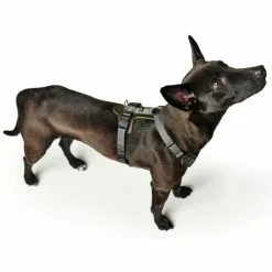 HUNTER Geschirr »Aalborg«, S, Rindsleder/nylon, Olivgruen/grau -Günstiges Tierbedarf Geschäft unnamed file 9234