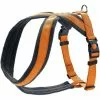 HUNTER Geschirr »London«, M, Polyester, Orange 2 HUNTER Geschirr »London«, M, Polyester, Orange -Günstiges Tierbedarf Geschäft unnamed file 9246
