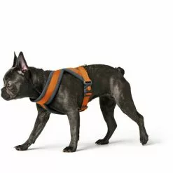 HUNTER Geschirr »London«, M, Polyester, Orange 13 HUNTER Geschirr »London«, M, Polyester, Orange -Günstiges Tierbedarf Geschäft unnamed file 9251