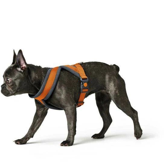 HUNTER Geschirr »London«, M, Polyester, Orange 8 HUNTER Geschirr »London«, M, Polyester, Orange – Bild 6