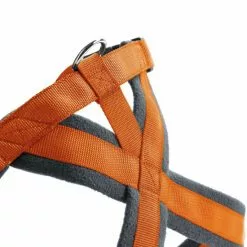 HUNTER Geschirr »London«, M-L, Polyester, Orange 9 HUNTER Geschirr »London«, M-L, Polyester, Orange -Günstiges Tierbedarf Geschäft unnamed file 9259