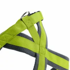 HUNTER Geschirr »London«, L/1, Polyester, Limettengrün 10 HUNTER Geschirr »London«, L/1, Polyester, Limettengrün -Günstiges Tierbedarf Geschäft unnamed file 9274