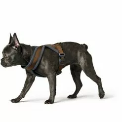 HUNTER Geschirr »London«, S-M/2, Polyester, Braun 15 HUNTER Geschirr »London«, S-M/2, Polyester, Braun -Günstiges Tierbedarf Geschäft unnamed file 9327