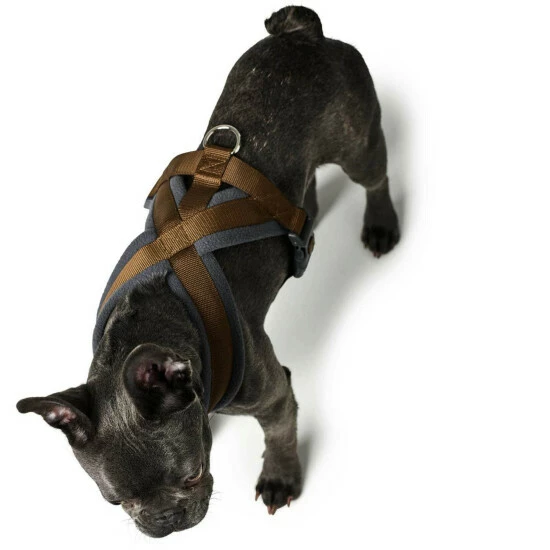 HUNTER Geschirr »London«, M-L, Polyester, Braun 8 HUNTER Geschirr »London«, M-L, Polyester, Braun – Bild 6