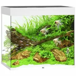 JUWEL AQUARIUM Lido 200 LED Aquarium -Günstiges Tierbedarf Geschäft unnamed file 941