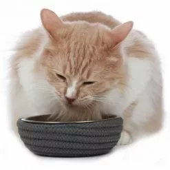 HUNTER Futternapf, Edelstahl, Anthrazit -Günstiges Tierbedarf Geschäft unnamed file 9476