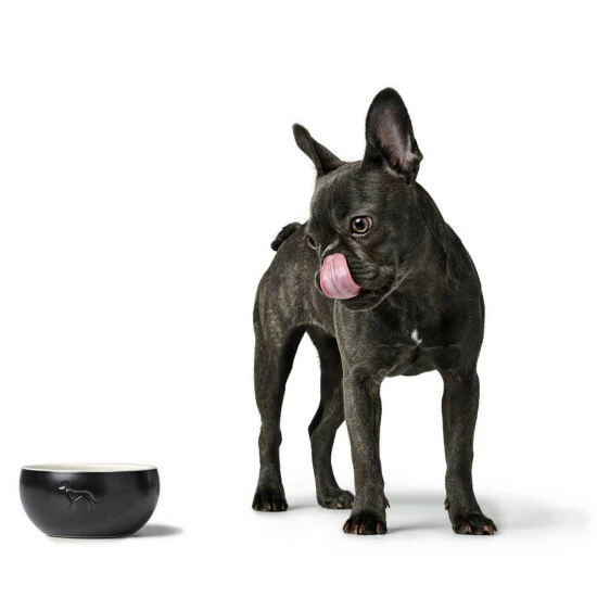 HUNTER Futternapf »Lund«, Keramik, Schwarz, 1,9 L 6 HUNTER Futternapf »Lund«, Keramik, Schwarz, 1,9 L – Bild 4