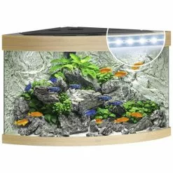 JUWEL AQUARIUM Trigon 190 LED Aquarium -Günstiges Tierbedarf Geschäft unnamed file 950