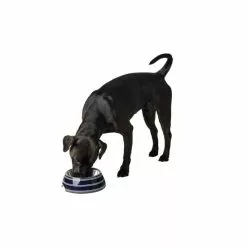 HUNTER Futternapf »Silda«, Edelstahl, Blau/weiß, 0,35 L -Günstiges Tierbedarf Geschäft unnamed file 9509