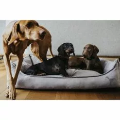 HUNTER Hunde-Sofa, BxHxL: 70 X 26 X 100 Cm, Grau -Günstiges Tierbedarf Geschäft unnamed file 9545