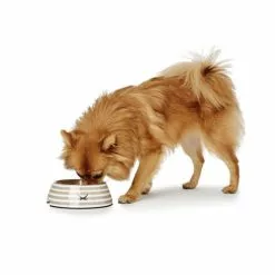 HUNTER Futternapf, Edelstahl, Grau -Günstiges Tierbedarf Geschäft unnamed file 9552