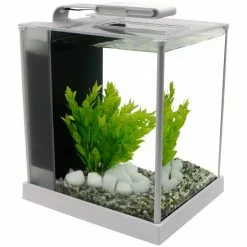 Fluval Spec 3 Nano Becken Set 12 Fluval Spec 3 Nano Becken Set -Günstiges Tierbedarf Geschäft unnamed file 956