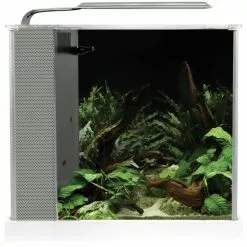 Fluval Spec 3 Nano Becken Set 13 Fluval Spec 3 Nano Becken Set -Günstiges Tierbedarf Geschäft unnamed file 957