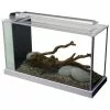 Fluval Spec 5 Nano Becken Set -Günstiges Tierbedarf Geschäft unnamed file 958