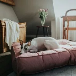 HUNTER Hunde-Bett, BxHxL: 70 X 18 X 110 Cm, Rot -Günstiges Tierbedarf Geschäft unnamed file 9586