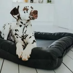 HUNTER Hunde-Bett, BxHxL: 70 X 12 X 100 Cm, Schwarz -Günstiges Tierbedarf Geschäft unnamed file 9594